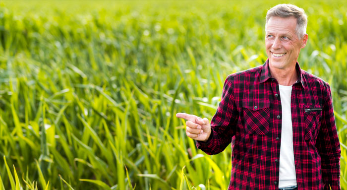 ai-powered-order-processing-automation